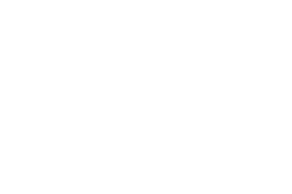 Little Bliss logo