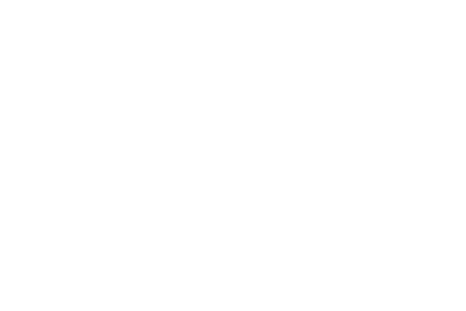 Reel Icons Ireland logo